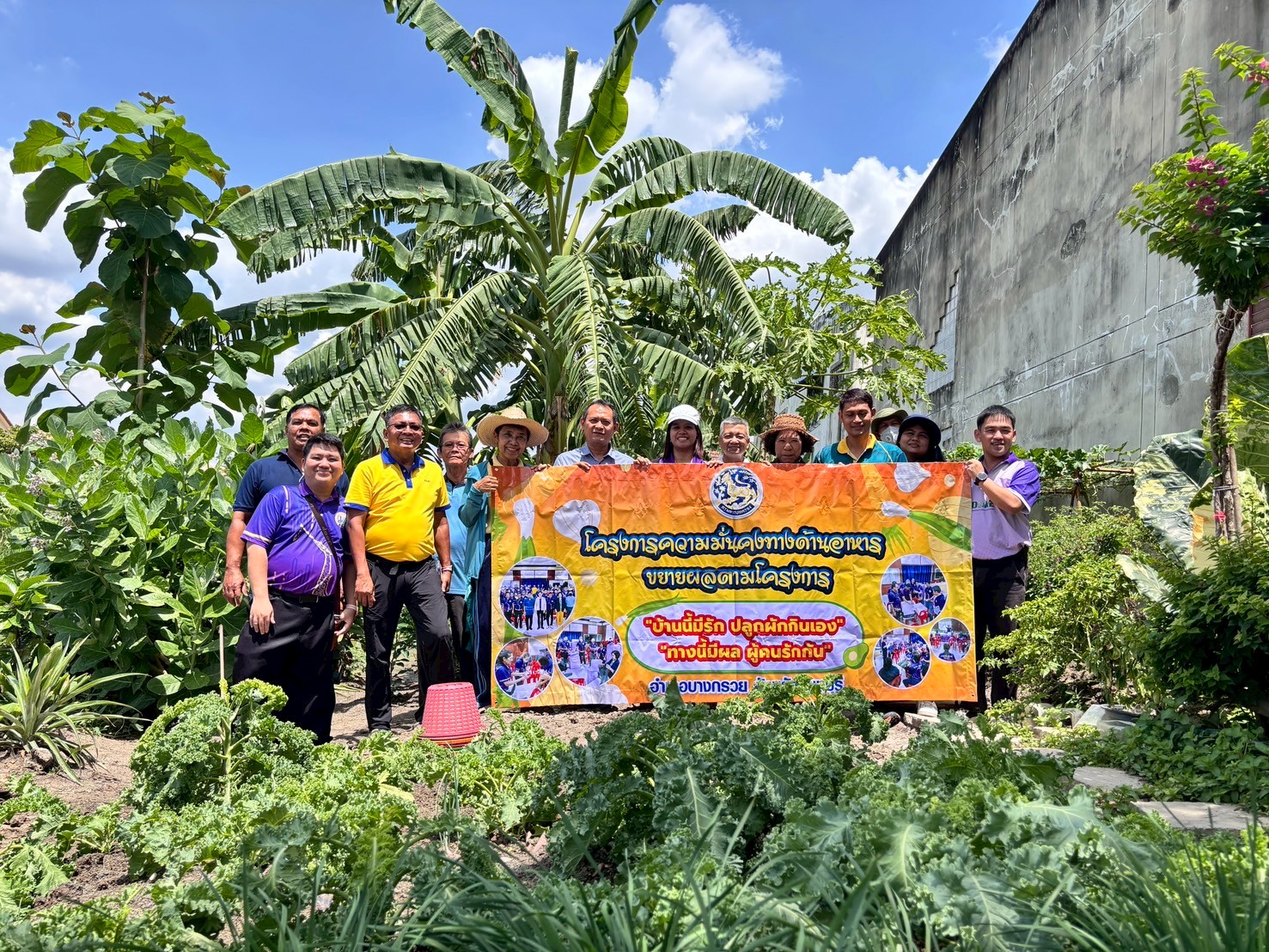 พช.บางกรวย ร่วมกับอำเภอบางกรวยดำเนินโครงการความมั่นคงทางด้านอาหารขยายผลตามโครงการ "บ้านนี้มีรัก ปลูกผักกินเอง" "ทางนี้มีผล ผู้คนรักกัน"